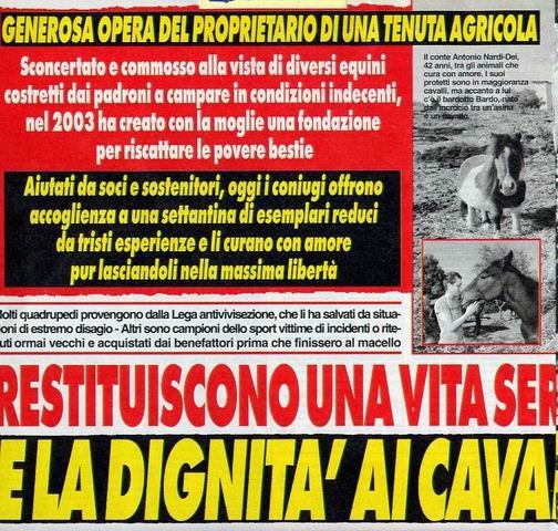 cavallisalvati 1